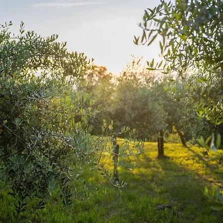 Evelina Eselboeck Casa vacanze