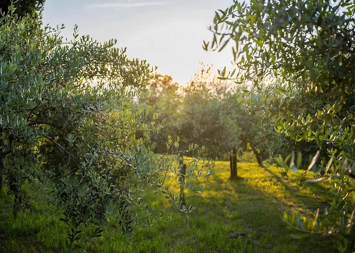 Evelina Eselboeck Hébergement de vacances